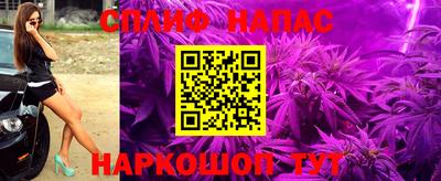 прущие крисы Моздок