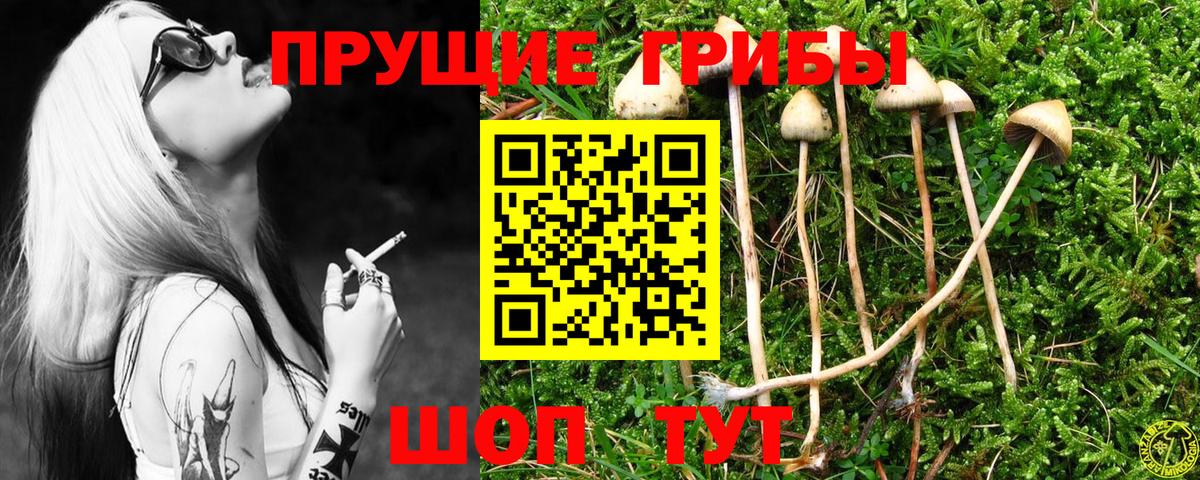 Галлюциногенные грибы GOLDEN TEACHER  Вход с VPN  Торжок  Галлюциногенные грибы ЛСД 